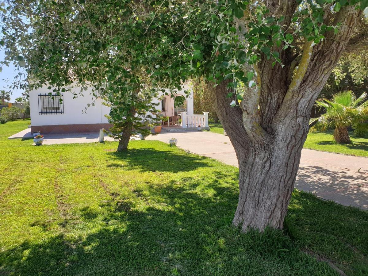 Hozanejos Casa Francesca, 90 M2, Jardin De 1500M2ヴィラ エクステリア 写真